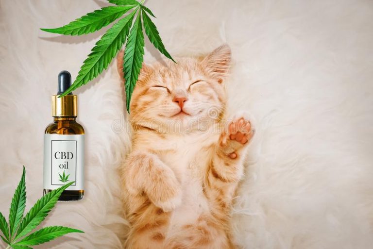 Certified Cannabis Light thanks to research conducted by the founders of CBD therapy