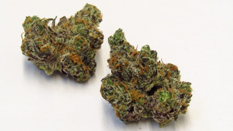 Importance of weed strains and their characteristics
